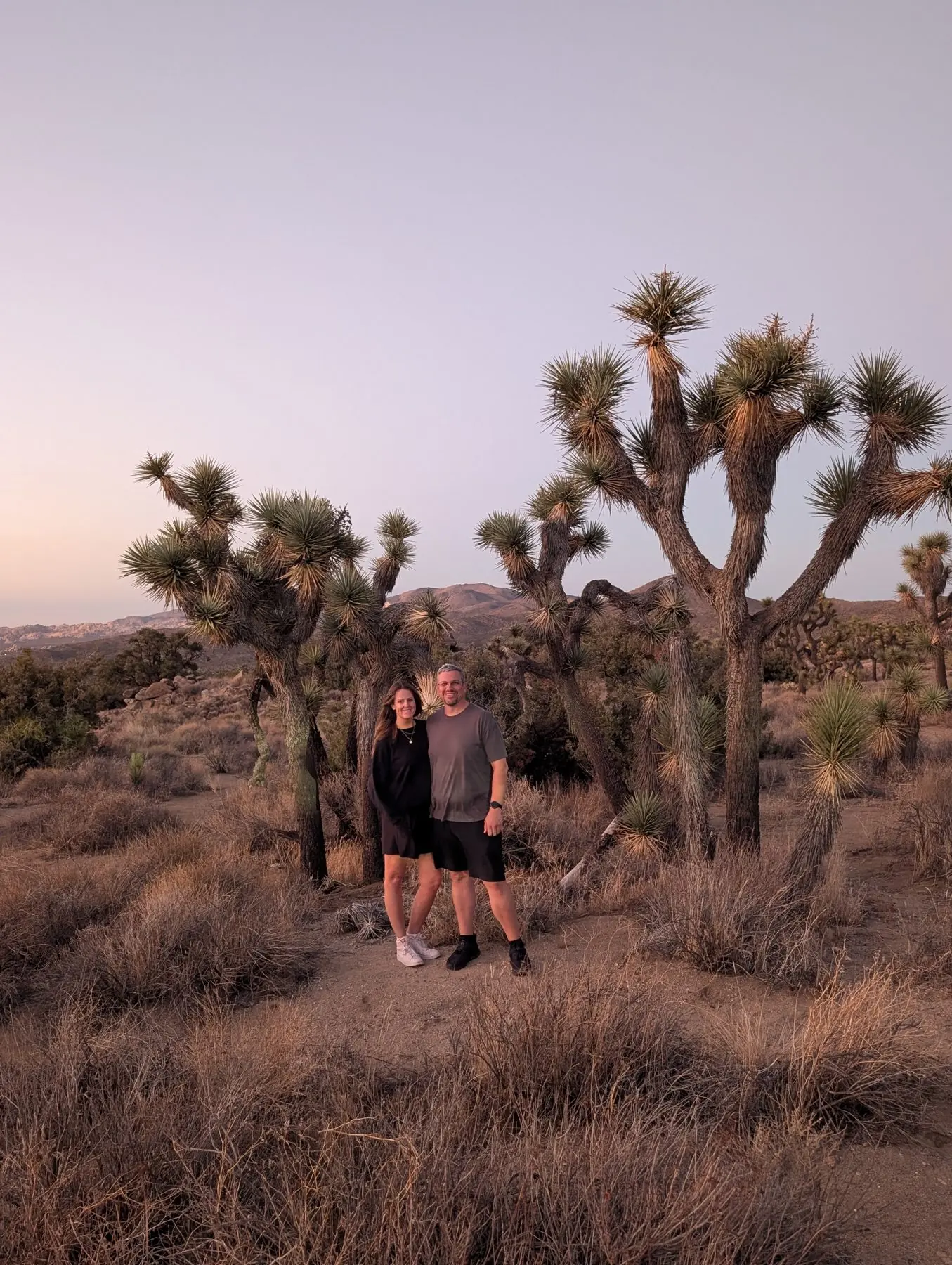 Stacey and Brad Shannon standing among Joshua trees at dusk.